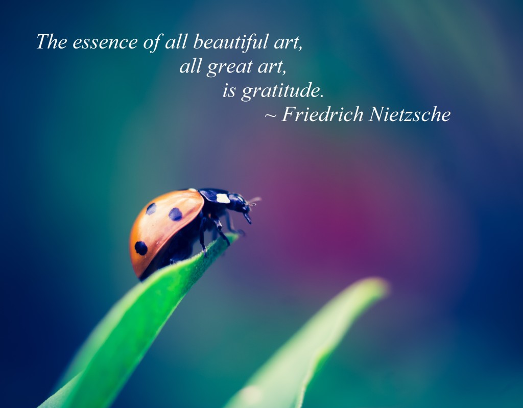 Nietzsche gratitude