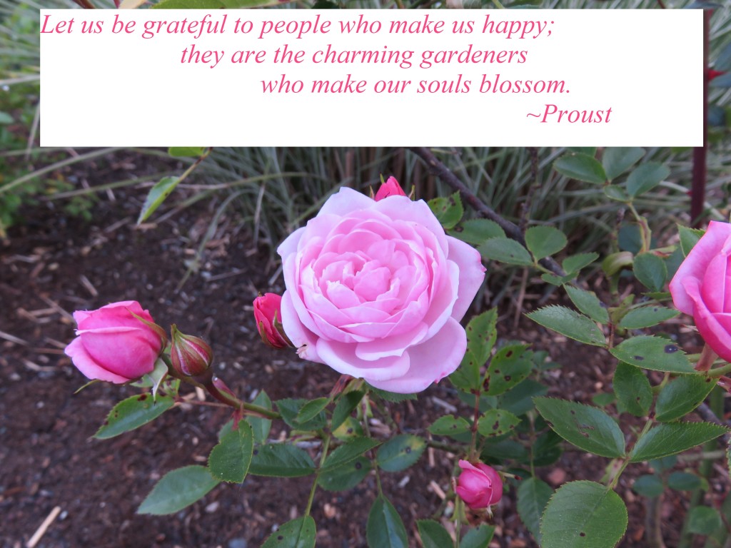 Proust Gratitude